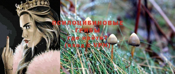 mdma Новозыбков